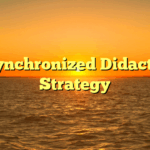 Synchronized Didactic Strategy