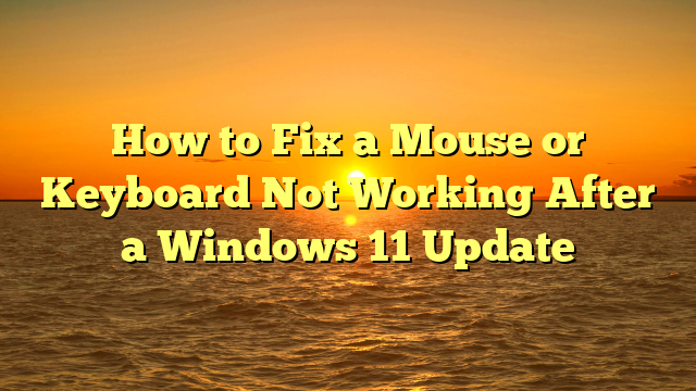 How to Fix a Mouse or Keyboard Not Working After a Windows 11 Update